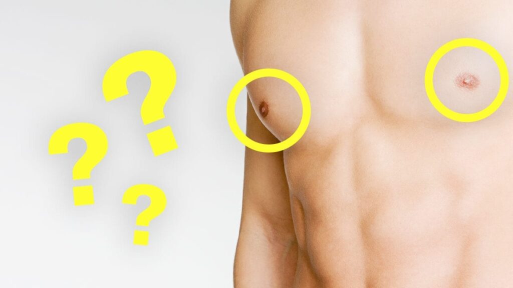 perche gli uomini hanno i capezzoli