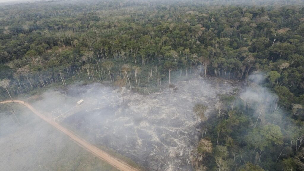 People's Party demands postponement of deforestation law
