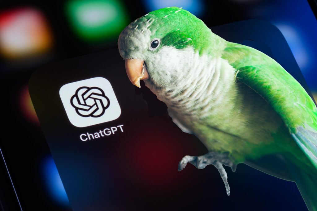 pappagallo stocastico