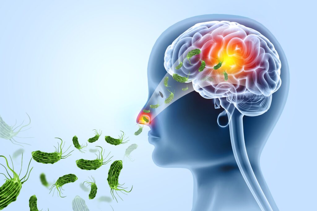 ameba mangiacervello