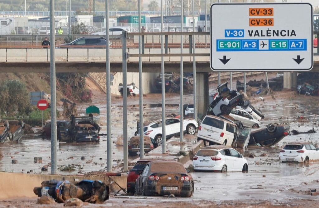 bufale alluvione valencia
