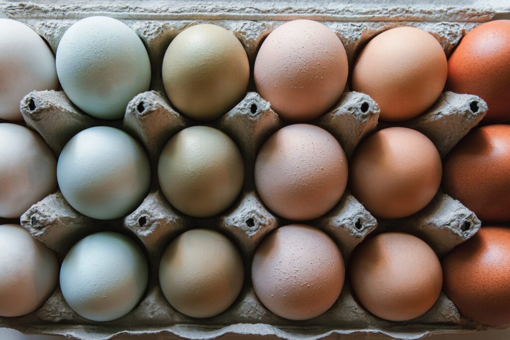 Uova di gallina di colori diversi