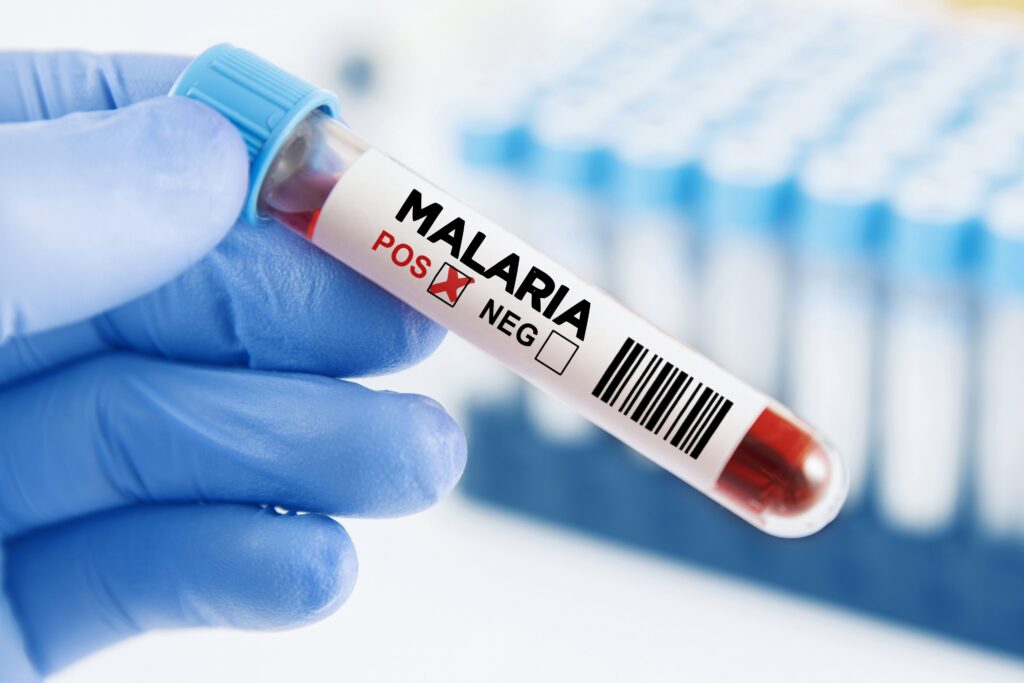 malaria verona