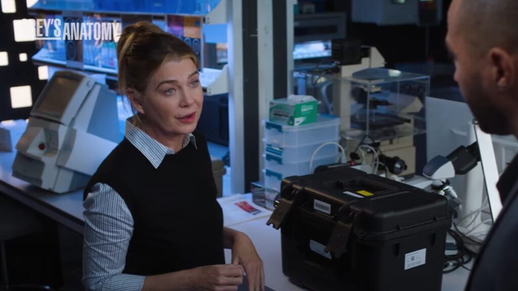 Grey's Anatomy 21 on Disney+: trailer, plot, cast and release date