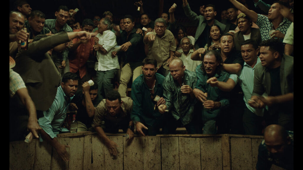 Pimpinero Blood and Oil: trailer, plot and release date of the action film from the director of Narcos