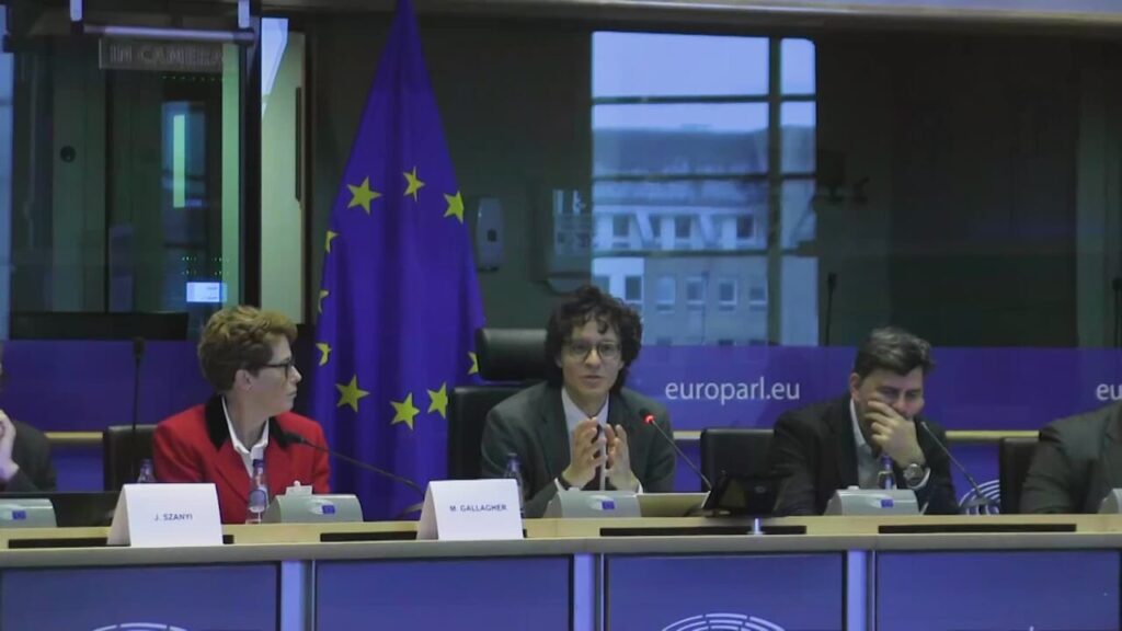 "The EU should enhance geological sciences to address climate change and the energy transition"