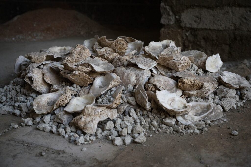 ostriche pompei