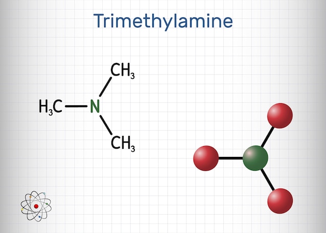 trimethylamine stinks of fish