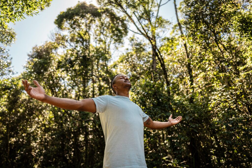 forest bathing natura