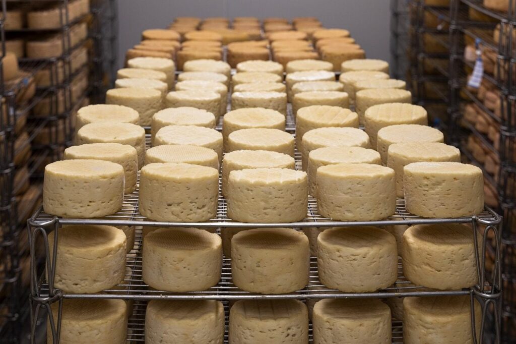 caglio e formaggio