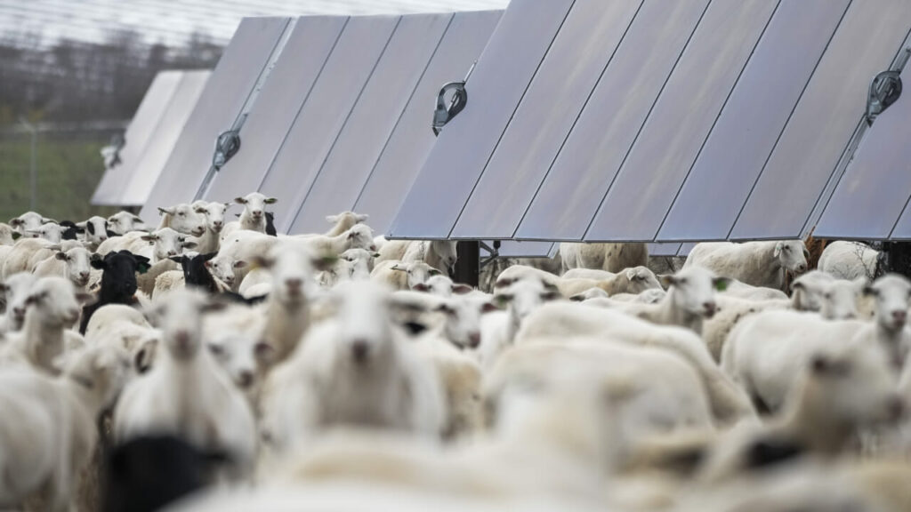 Blackout in Spain, a warning on the energy transition