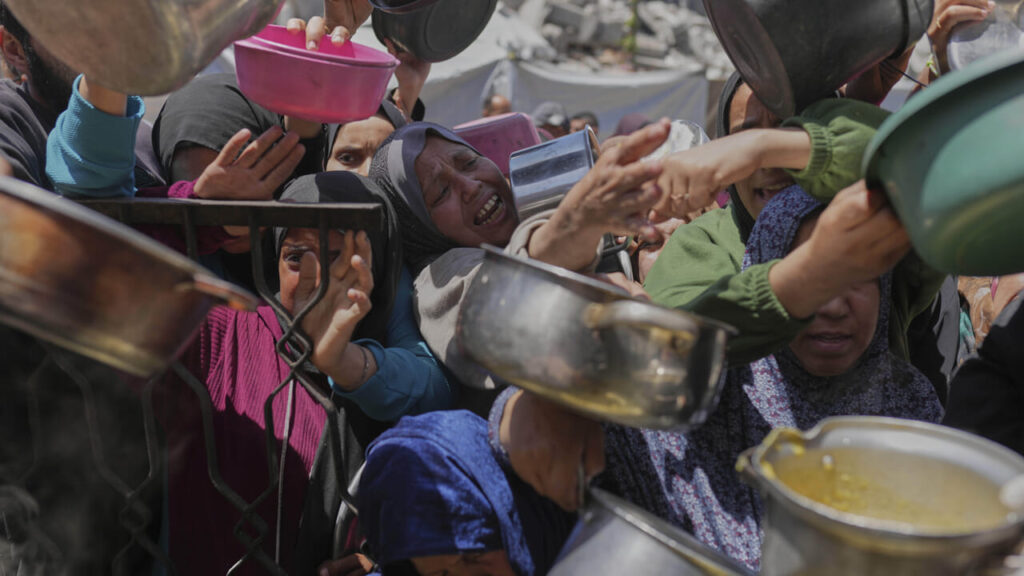 "Stop the genocide": a march from all over the world to Gaza