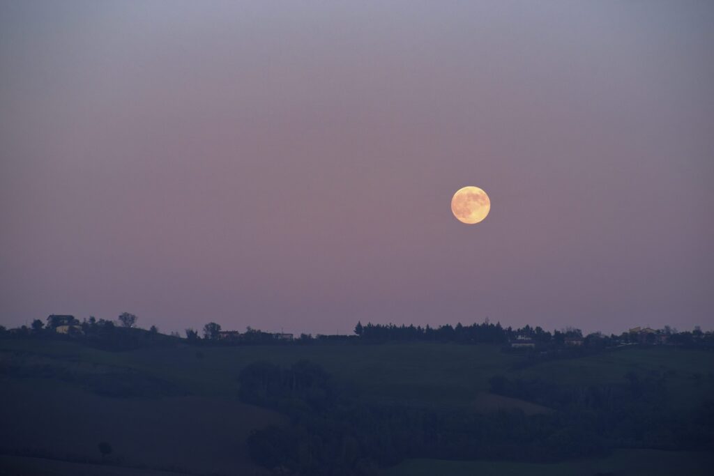 microluna