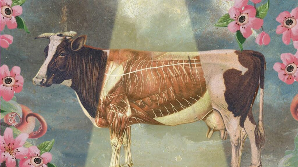 Almost 30 years after the first publication, accent brings 'K-Pax' in the bookstore