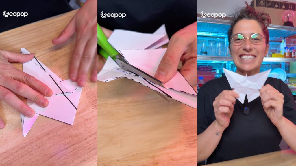 problema del taglio unico