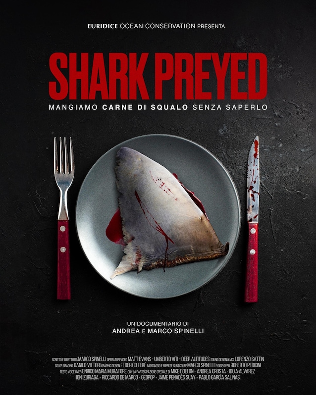 Shark Preyed Documentary Sharks Marco Andrea Spinelli