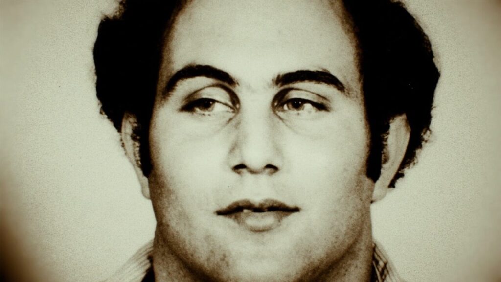 Conversations with a killer: the Berkowitz case, true story and when it comes out on Netflix