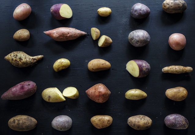 potato varieties