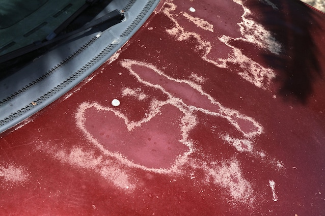Car faded paint