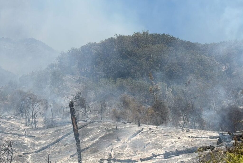 incendi-vesuvio-spenti-fine-emergenza