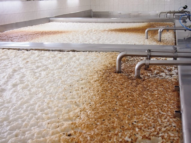 fermentation of beer