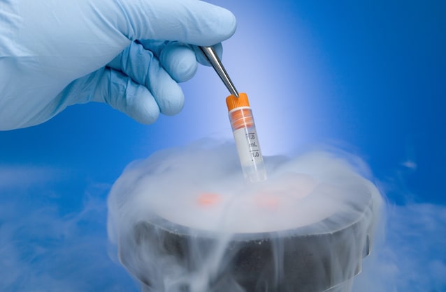 cryoconer embryos