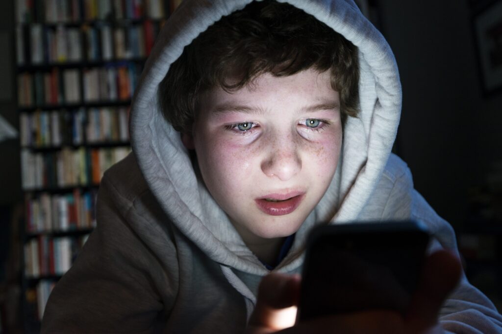 cyberbullismo italia