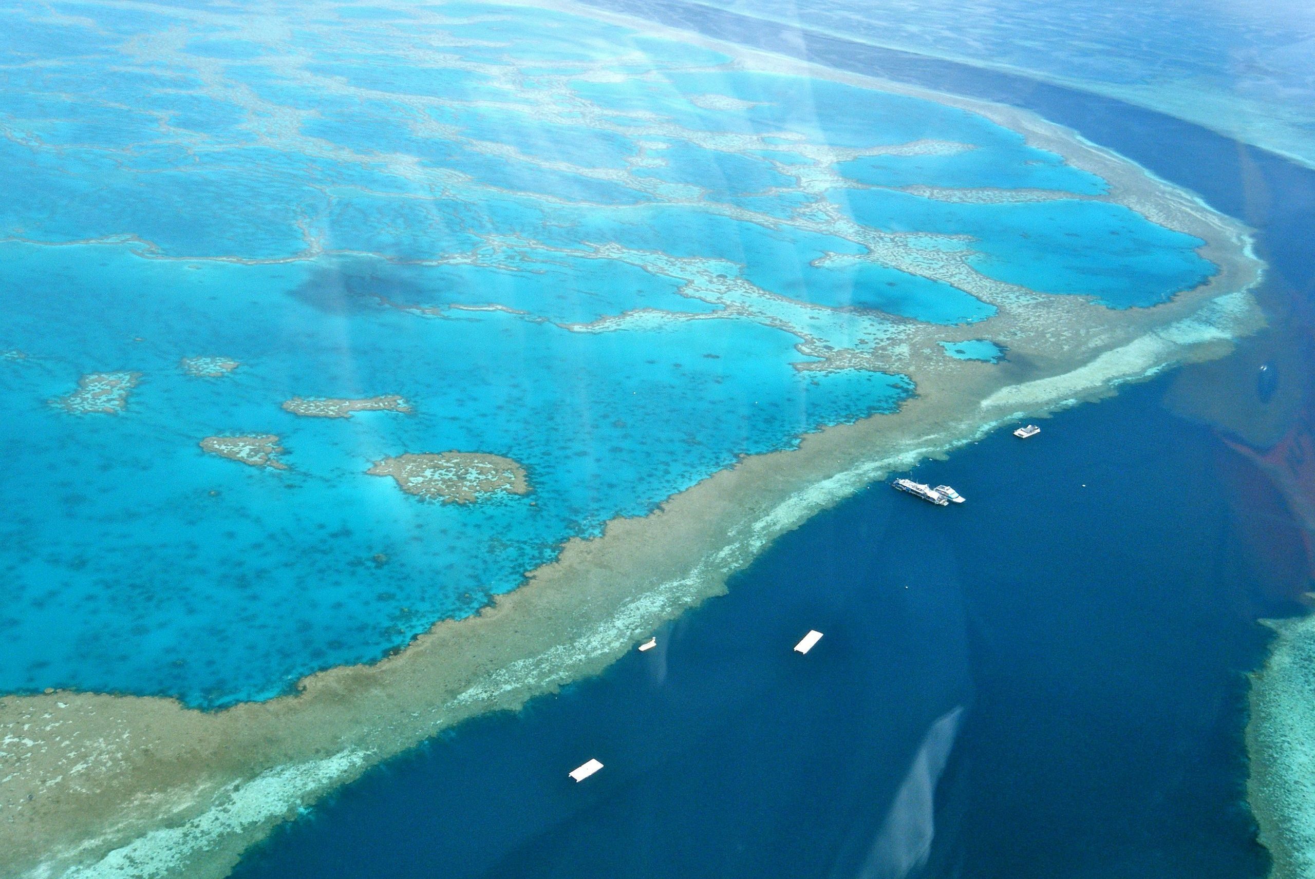 grande barriera corallina declino