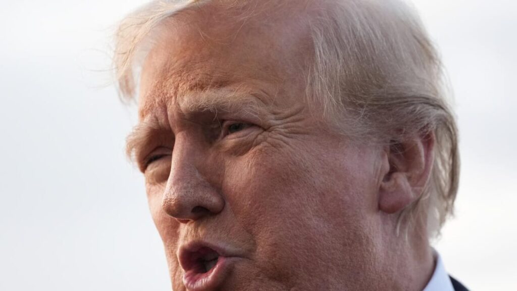 The 'Paypal Mafia' and the (real) threat to American democracy