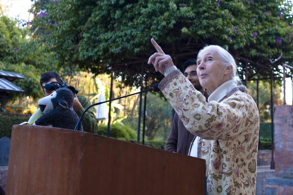 The discoveries of Jane Goodall who redefined the border between man and animal