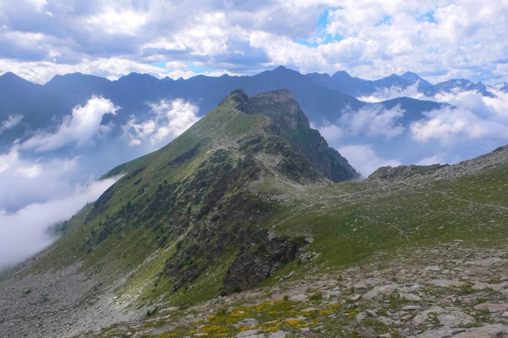 Fossils from 300 million years ago discovered in the Alps in rocks from the Earth's mantle: it is the first time in the world
