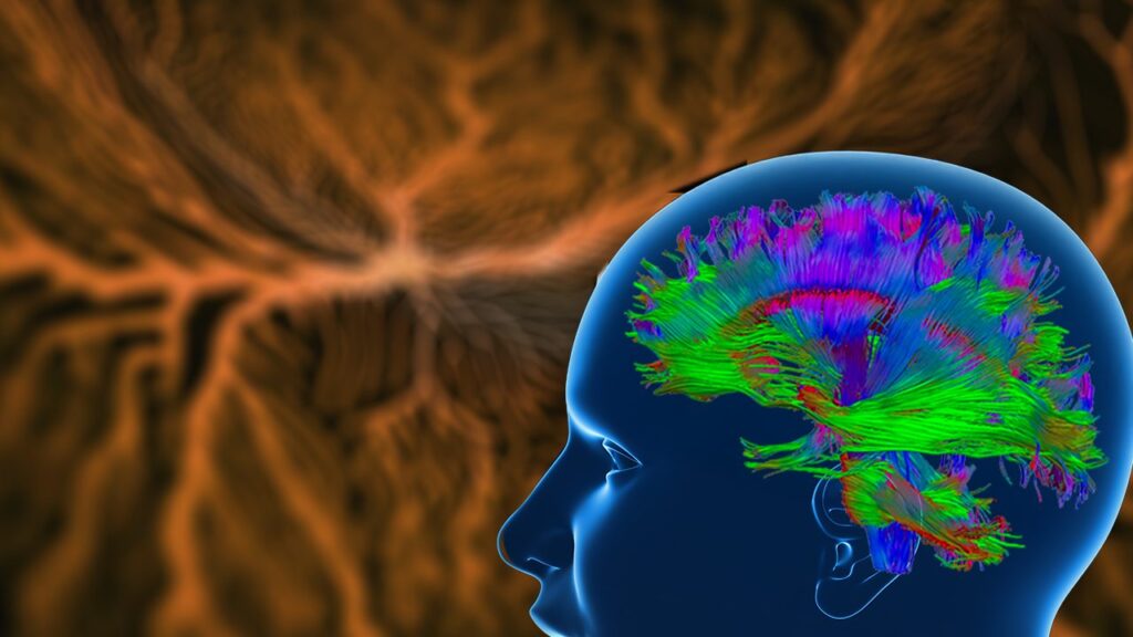How the brain communicates: how electrical impulses travel in the network of neurons