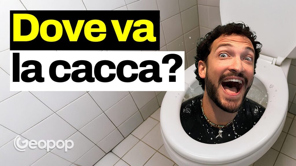 What happens when we flush the toilet? Where poop and other waste ends up