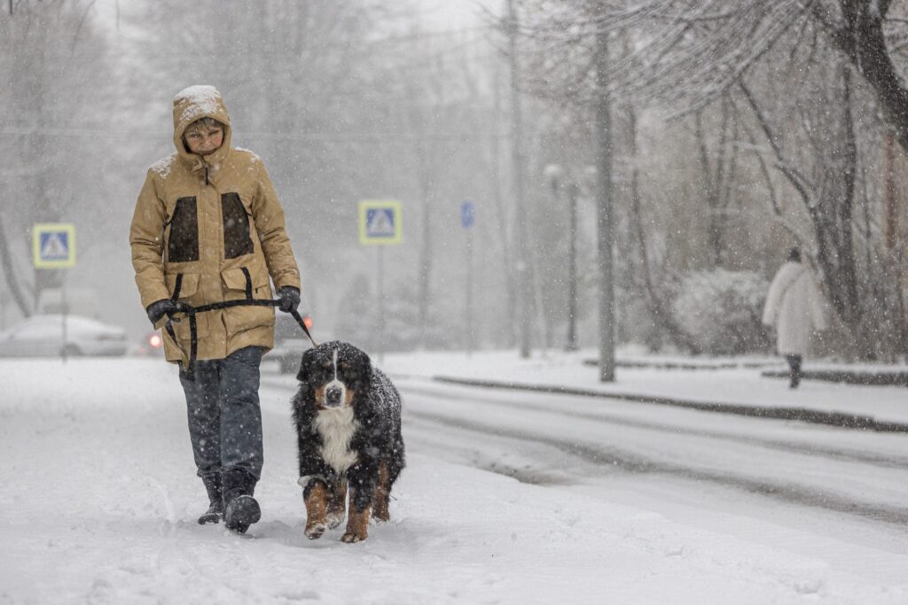 Why they say "it's freezing cold": the origin and meaning of the expression