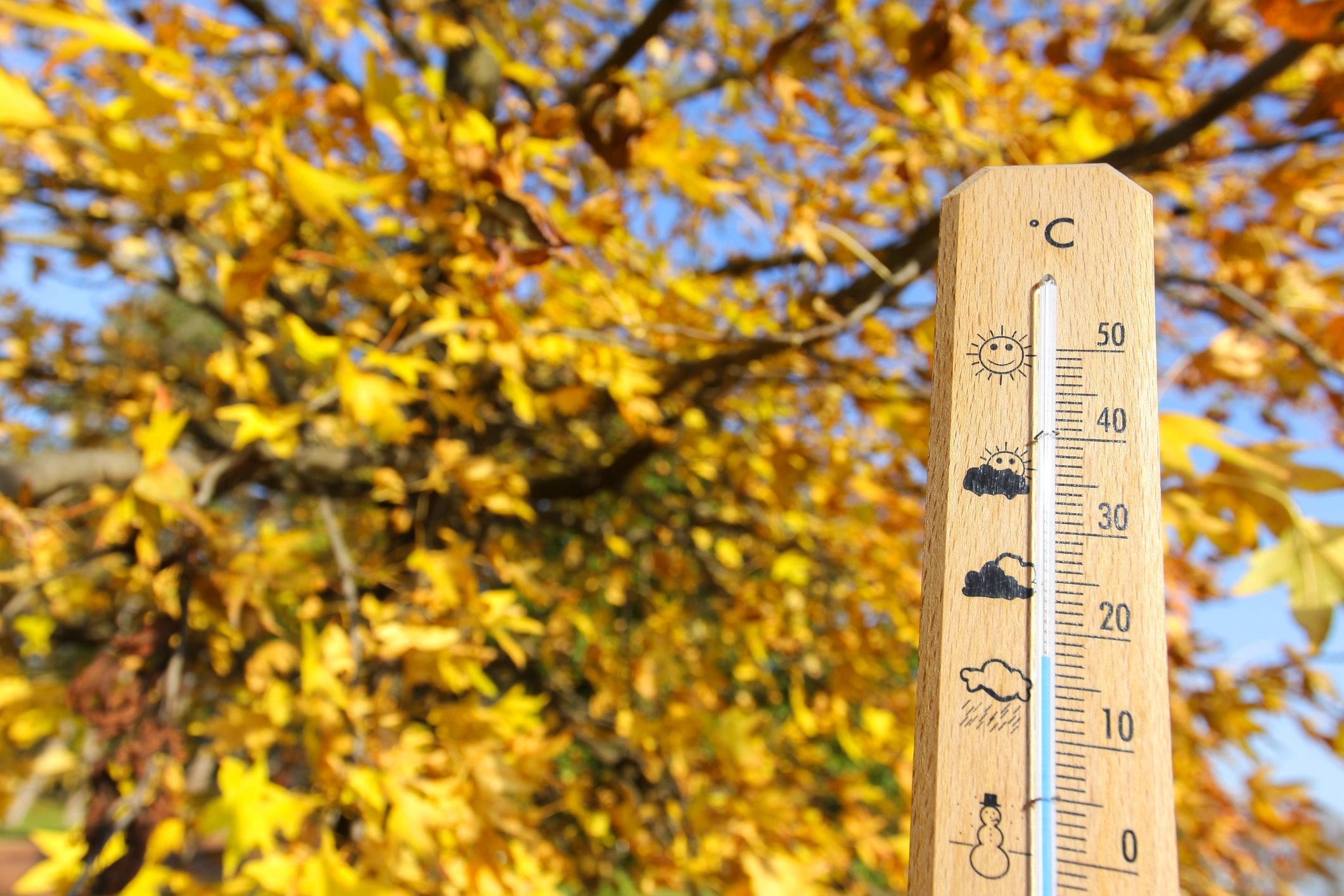 The "San Martino summer" begins with sun and mild temperatures: what is this atmospheric phenomenon and how long will it last