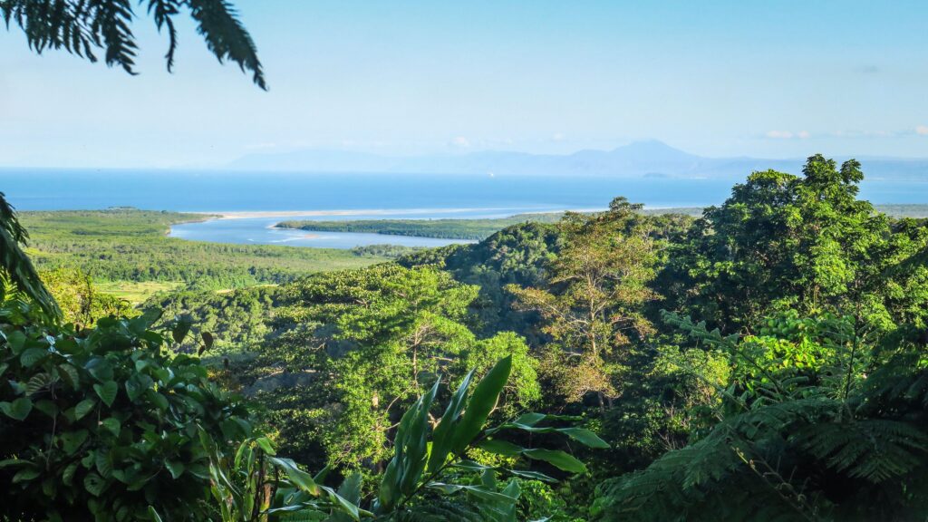 The Daintree rainforest in Australia is the oldest in the world: a journey inside it