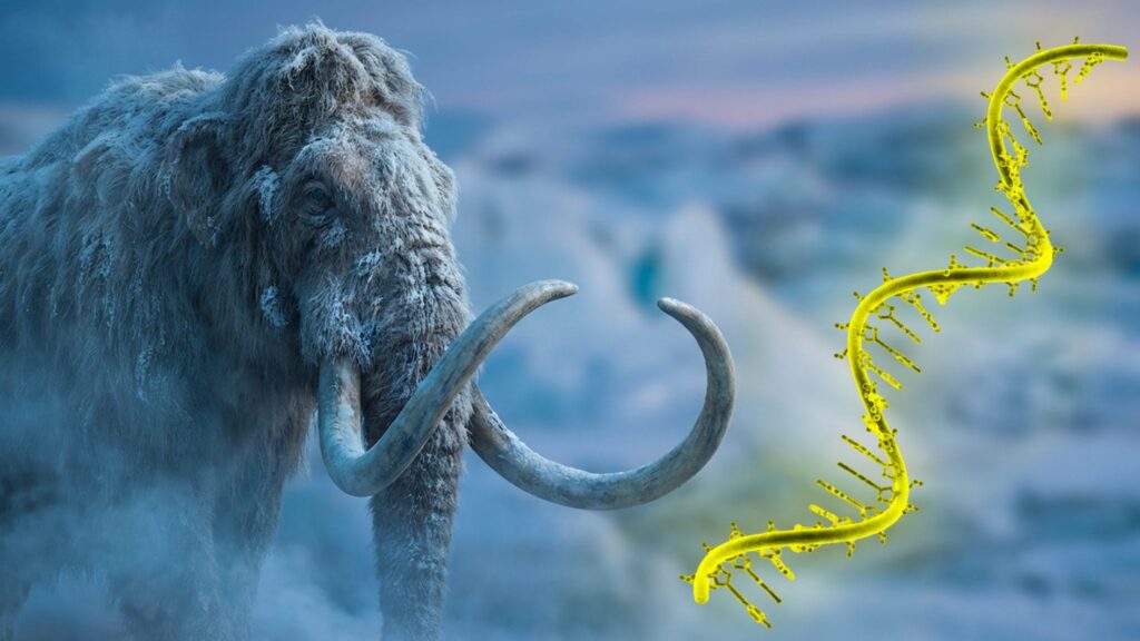 World's oldest RNA sequenced from 40,000-year-old woolly mammoth