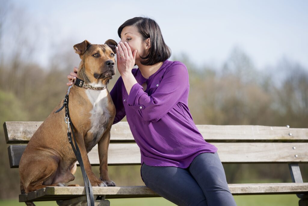 Why we talk to dogs, cats and other animals: here are the psychological mechanisms
