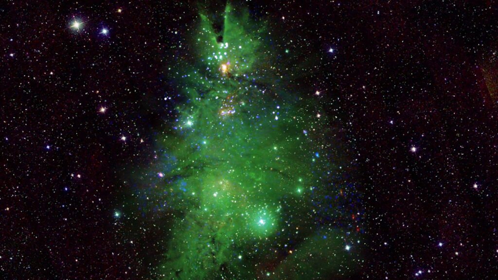This “Christmas tree” from space is actually a young cluster of newborn stars: how the image was obtained
