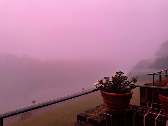 pink fog