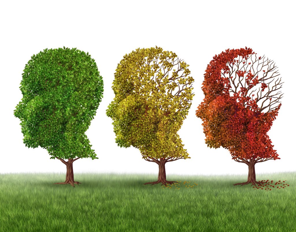 Why do older memories seem stronger than recent ones? What science says about memory