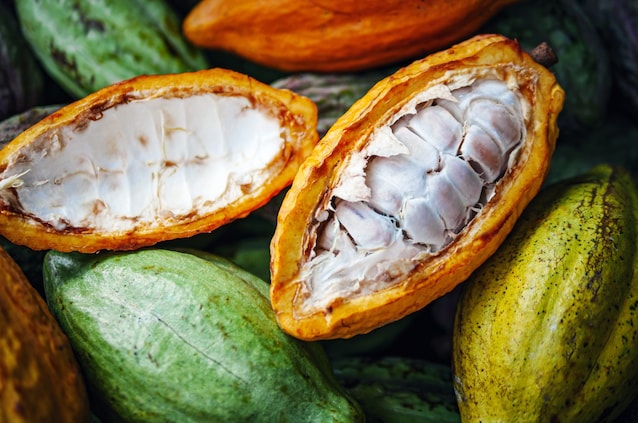 cocoa pods