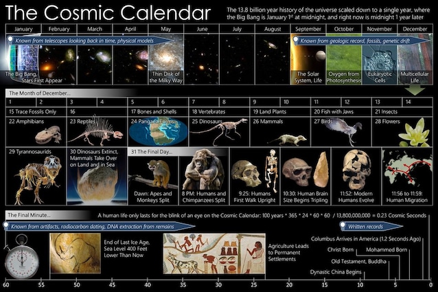 Cosmic calendar