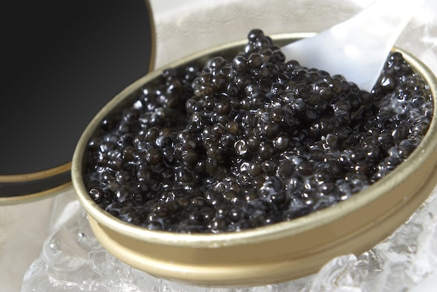 caviar