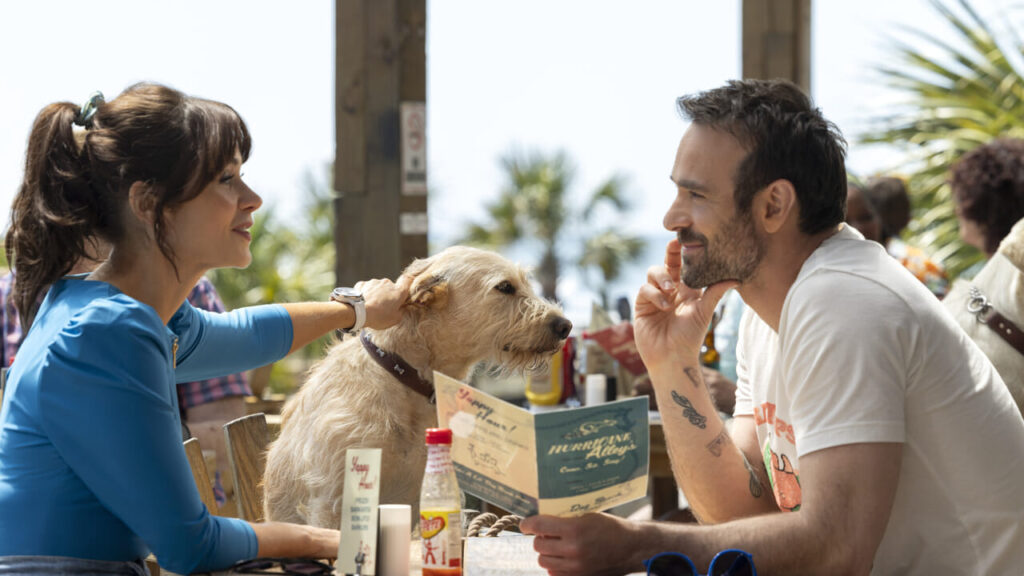 Merv: trailer, plot and release date of the romantic Christmas film between two hearts and a big dog
