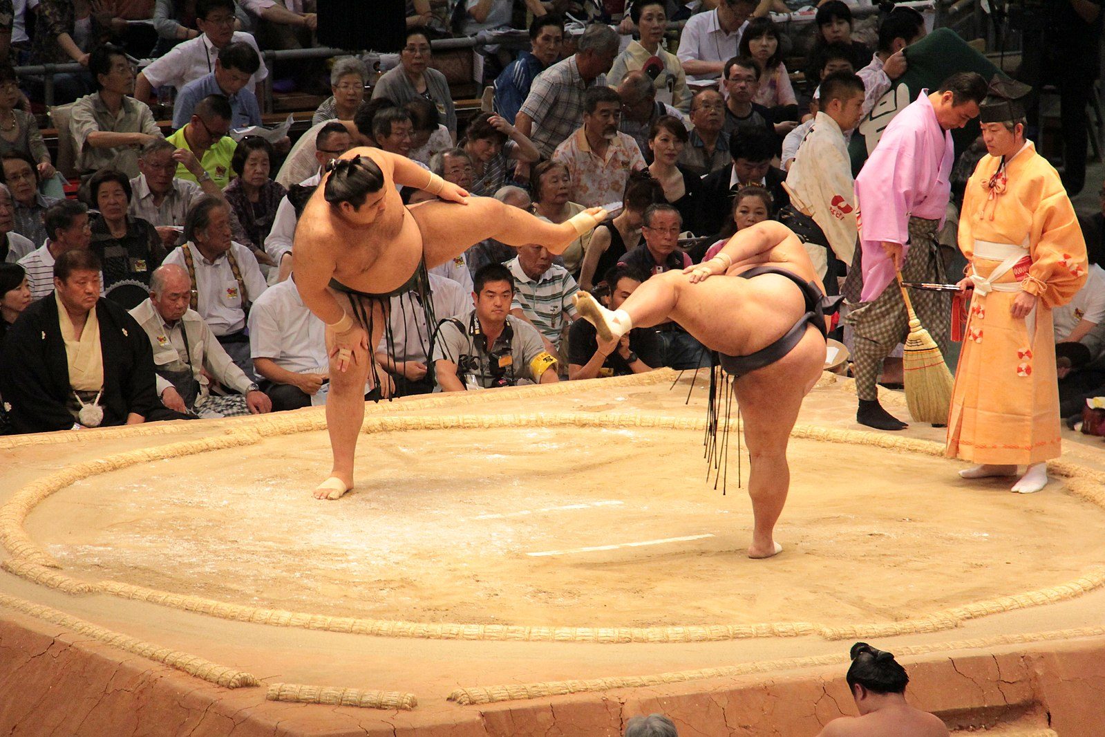 Why do sumo wrestlers weigh so much?