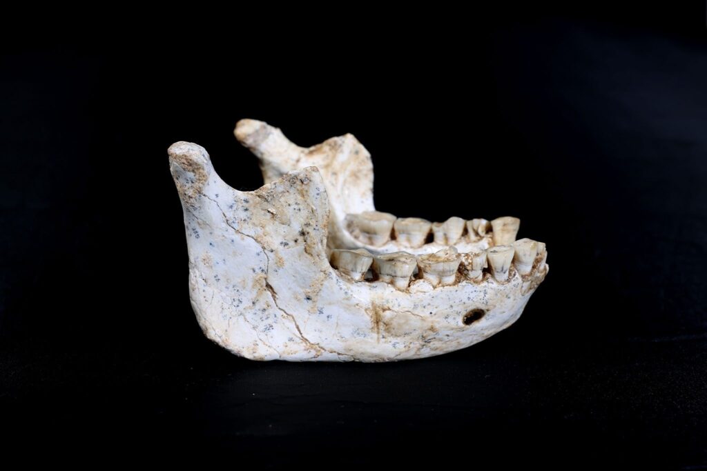 Exceptional discovery in Morocco: human remains could rewrite the origin of Homo Sapiens