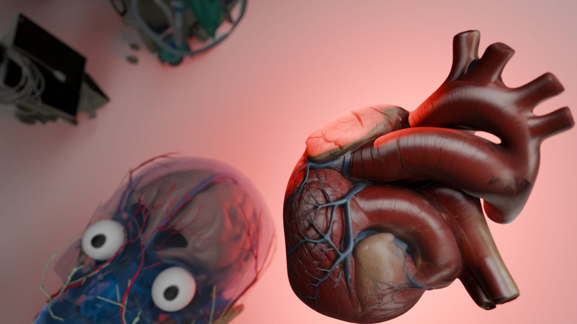 How organ transplantation works and how to become a donor in Italy