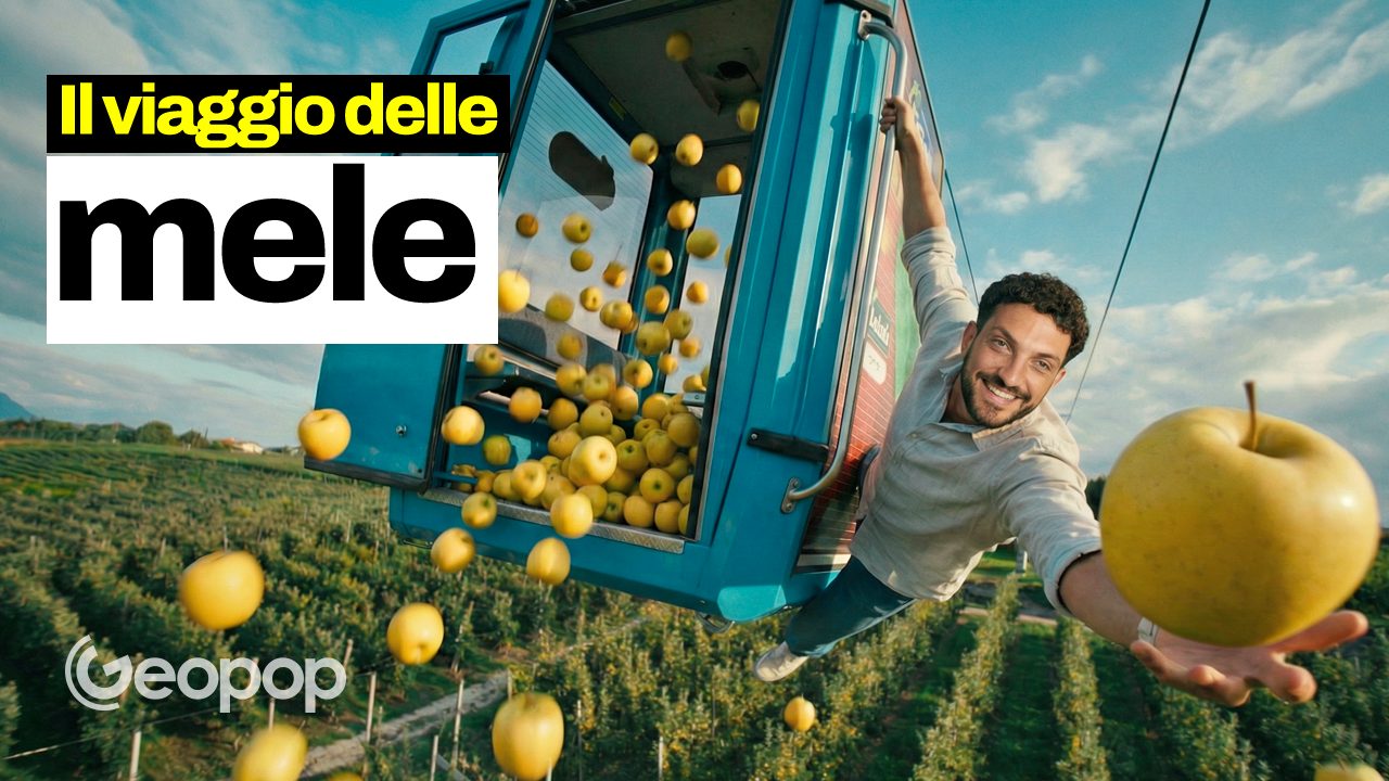 Why are apples there all year round? The secret is in conservation