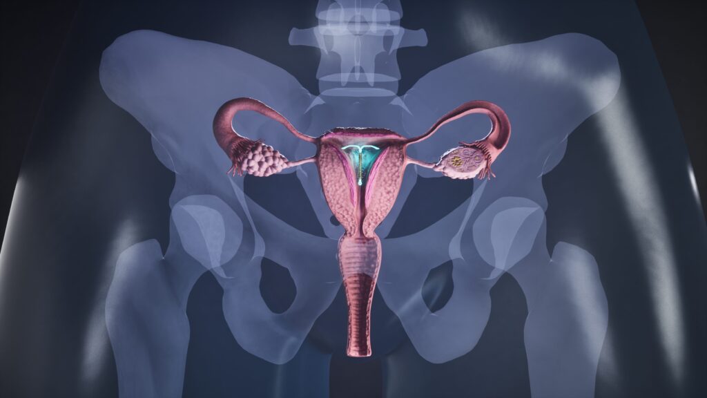 What are the main contraceptive methods: how they work and the most effective contraceptives
